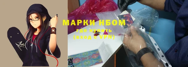 стаф Алексин