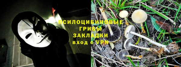 прущая мука Алзамай