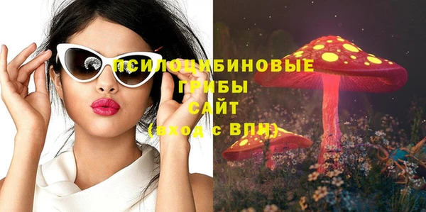 прущая мука Алзамай