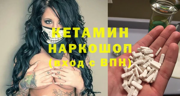 стаф Алексин