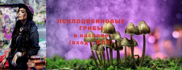 прущий лед Алексеевка
