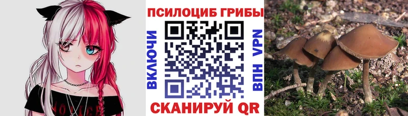 Псилоцибиновые грибы ЛСД  как найти   Люберцы 