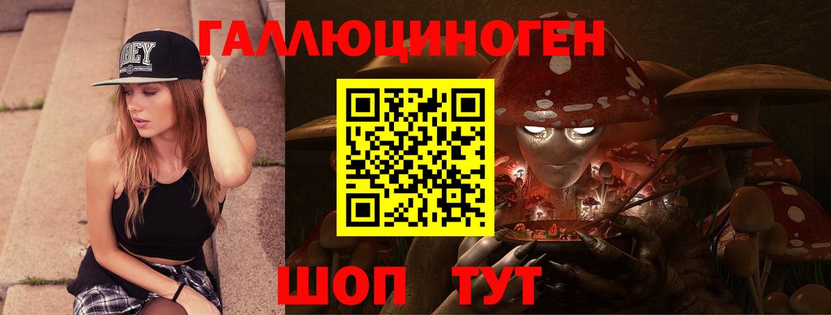 Люберцы  Галлюциногенные грибы Cubensis  Вход с VPN 